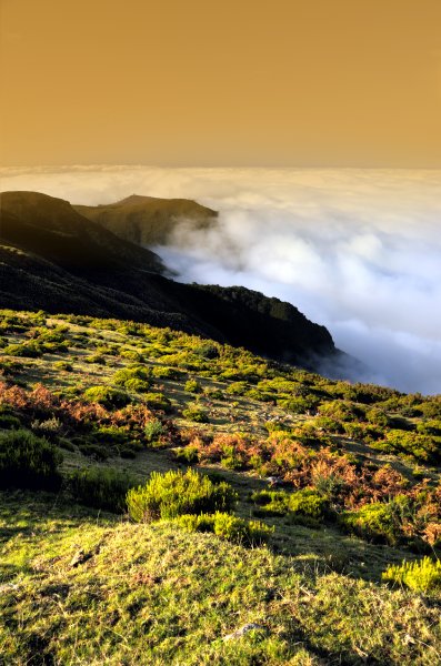 Naturpark auf Madeira