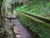 Levada Wanderungen