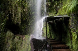 Ein Wasserfall bei einer Wanerung durch die Levadas