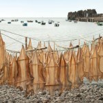 Bacalhau trocknet an der Luft