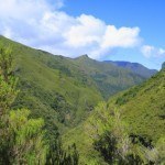 Madeira Paul da Serra